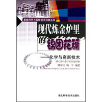 基础科学与高新技术科普丛书·现代炼金炉里的锦团花簇：化学与高新技术（修订版）