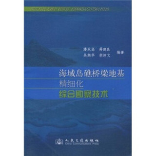 海域岛礁桥梁地基精细化综合勘察技术