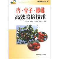 新农村书屋：杏·李子·樱桃高效栽培技术