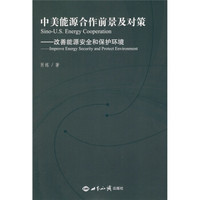 中美能源合作前景及对策:改善能源安全和保护环境