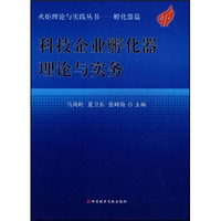 科技企业孵化器理论与实务