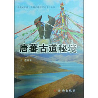 跟我走古道·丝绸之路万里行系列丛书：唐蕃古道秘境