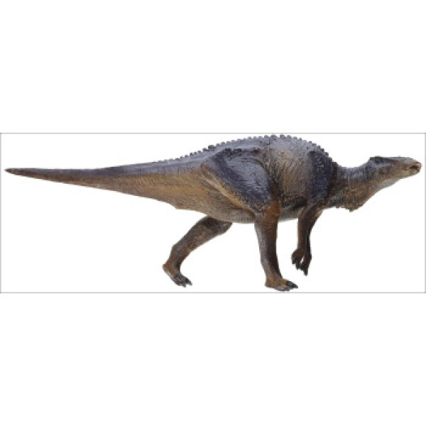 恐龙大王满洲龙