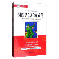 《钢铁是怎样炼成的》
