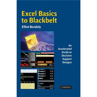 Excel Basics to Blackbelt:An Accelerated Guide to Decision Support Designs[黑带Excel基础]