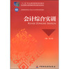 会计综合实训