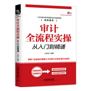 审计全流程实操从入门到精通