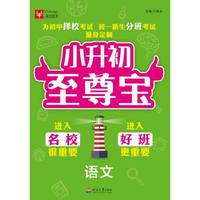 小升初至尊宝 语文