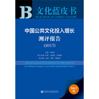 中国公共文化投入增长测评报告（2017）