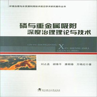 磷与重金属吸附深度治理理论与技术