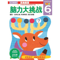 头脑开发丛书：脑力大挑战 6岁