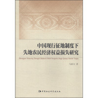 中国现行征地制度下失地农民经济权益损失研究