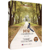 回家 一只灰喜鹊受伤之后
