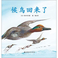 候鸟回来了(精)