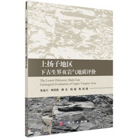 上扬子地区下古生界页岩气地质评价