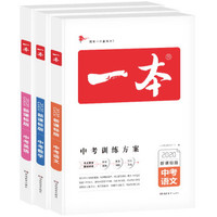 2020年新版一本中考语文数学英语 新课标版中考初中学生专项教辅总复习含真题训练（京东套装3册）