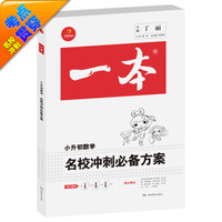 开心考试 2016年一本 名校冲刺必备方案：小升初数学（小学升初中小考总复习）