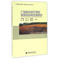 广西合山煤矿采空塌陷机理与风险评价/矿山地质环境保护与治理技术方法系列丛书