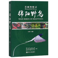 美丽的精灵:绵阳野鸟