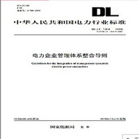 DL/T 1004—2018 电力企业管理体系整合导则（代替DL/T 1004—2006）