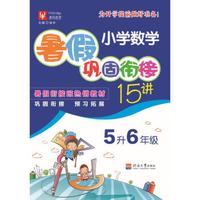小学数学暑假巩固衔接15讲  5升6年级