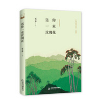 文学馆·小说林— 送你一束玫瑰花(精装)