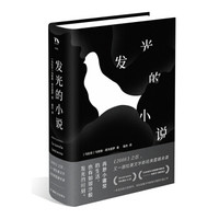 《发光的小说》