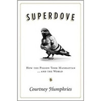 Superdove: How the Pigeon Took Manhattan ... And the World