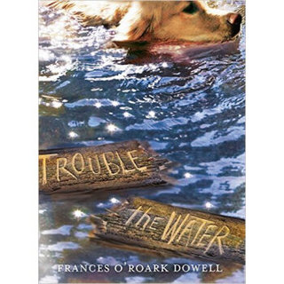 Trouble the Water