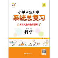 小学系统总复习 科学