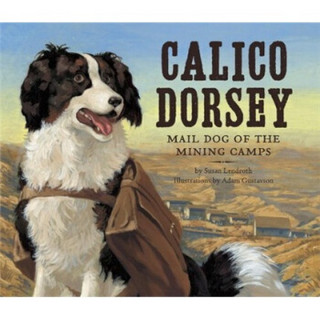 Calico Dorsey