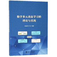 数学多元表征学习的理论与实践