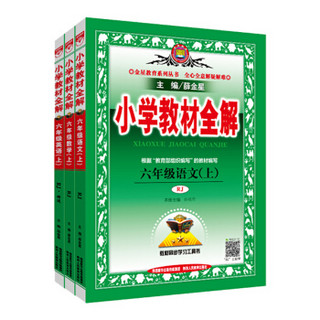 小学教材全解 六年级语文+数学+英语 精通 上册 RJ版 2019秋（京东套装共3册）