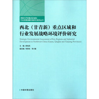 西北(甘青新)重点区域和行业发展战略环境评价研究