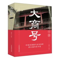 大商号(第2部 大展宏图)