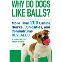 Why Do Dogs Like Balls?