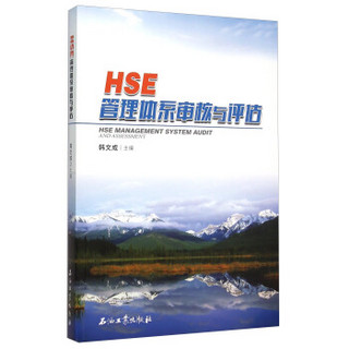 HSE管理体系审核与评估