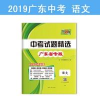 天利38套 2019中考必备 广东省中考试题精选--语文