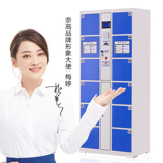 奈高NG电子存包柜超市存包柜存储柜12门条码型 天蓝色