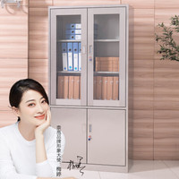 奈高 NG办公家具办公柜不锈钢药品柜医疗器械柜201大器文件柜
