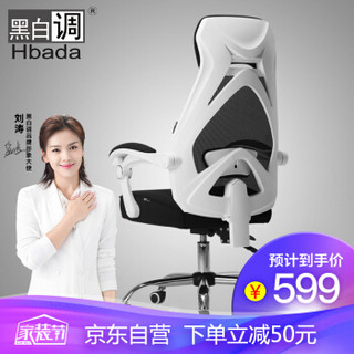Hbada 黑白调 HDNY117WM 专业人体工学电脑椅