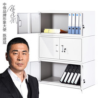 中伟文件柜办公柜矮柜钢制铁皮柜资料柜档案柜储物单节柜分体五节柜三节组合款