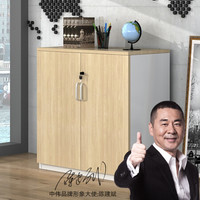 中伟木质二门储物柜文件柜带锁小柜子员工办公柜办公柜子矮柜800*400*800mm
