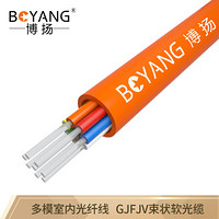 博扬（BOYANG）BY-GJFJV-12A1 12芯多模室内网线光纤线 62.5/125 GJFJV束状软光缆 100米