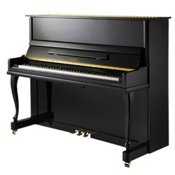 WILLIAMSONBO 威廉森堡 Williamsonbo）立式钢琴 德国FFW榔头家用初学考级钢琴DW-21K 黑色