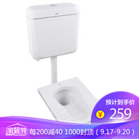 德众(DEZHONG)2113S 蹲便器套装蹲坑蹲厕大便池冲水箱卫生间两件套