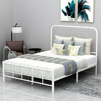 L&S 床双人床铁艺床现代简约欧式铁艺床卧室床铺1.5米 YC08白色