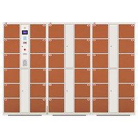 钱柜 电子存包柜 超市储物柜寄存柜存物柜电子感应锁 36门 红外线条码 浅咖色