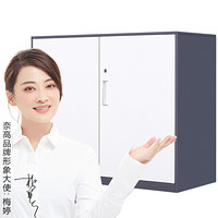 奈高NG文件柜办公柜资料柜档案柜储物拆装柜760高灰白矮柜薄边