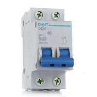正泰(CHNT)断路器 DZ47-2P1AC 空气开关 /个 可定制